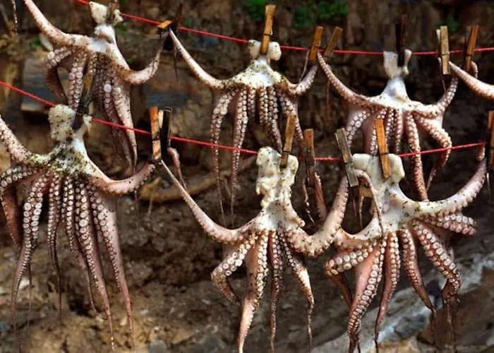 Pool Kamara Crete - Chania * ハニア